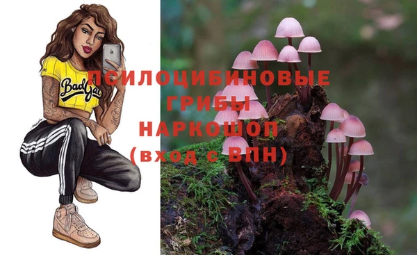 дмт Баксан