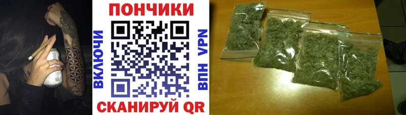 где продают   Инза  Бошки Шишки конопля 